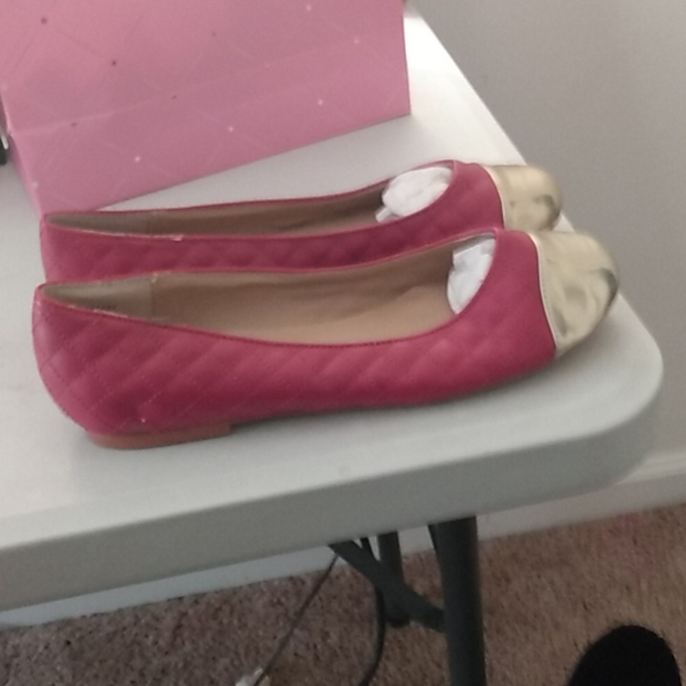 Theme Ballerina Flats